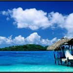 Explore Jamaica With Jcvtt For A Rich And Authentic Jamaican Experience