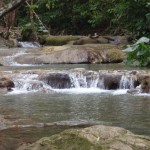 Mayfield Falls Tour, Revitalize your senses at Mayfield Falls.