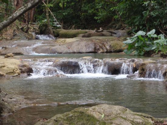 You are currently viewing Mayfield Falls Tour, Revitalize your senses at Mayfield Falls.