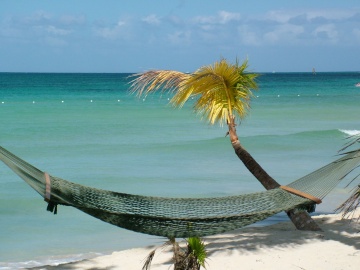 Jamaica Vacations Taxi and Tours