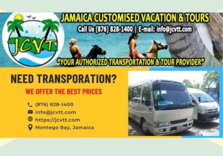 Princess Grand Jamaica Taxi and Airport Shuttle. Transportation.