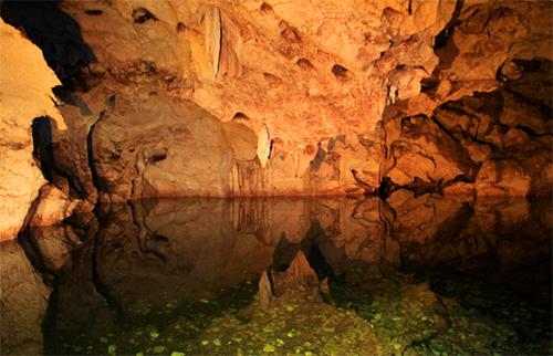 Green Grotto Caves with Glistening Waters Luminous Lagoon Tour