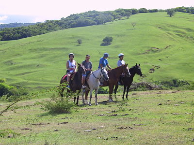 Horseback Riding and Swim Montego Bay.